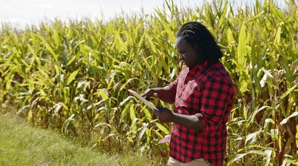 depositphotos_411170064-stock-photo-smart-farming-concept-african-man